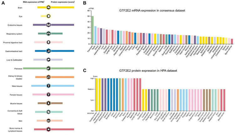 PMC12017540 – pone.0321983.g001