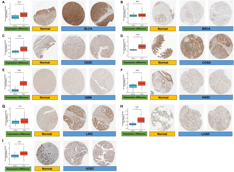 PMC12017540 – pone.0321983.g003