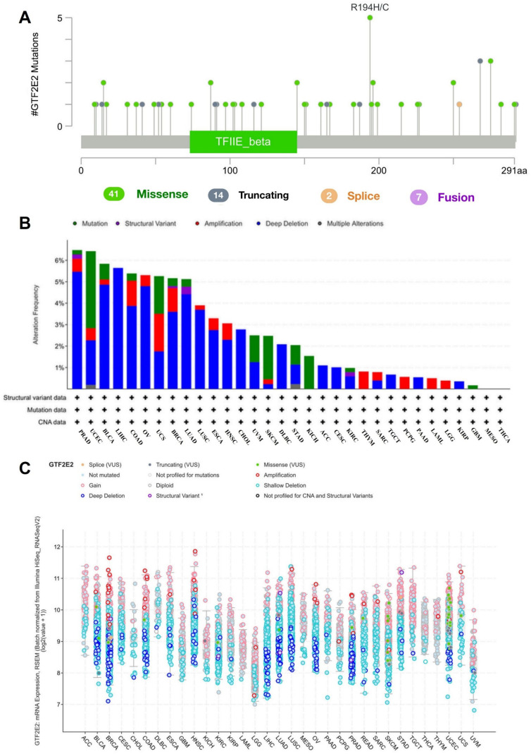 PMC12017540 – pone.0321983.g011