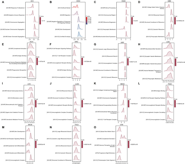 PMC12017540 – pone.0321983.g013