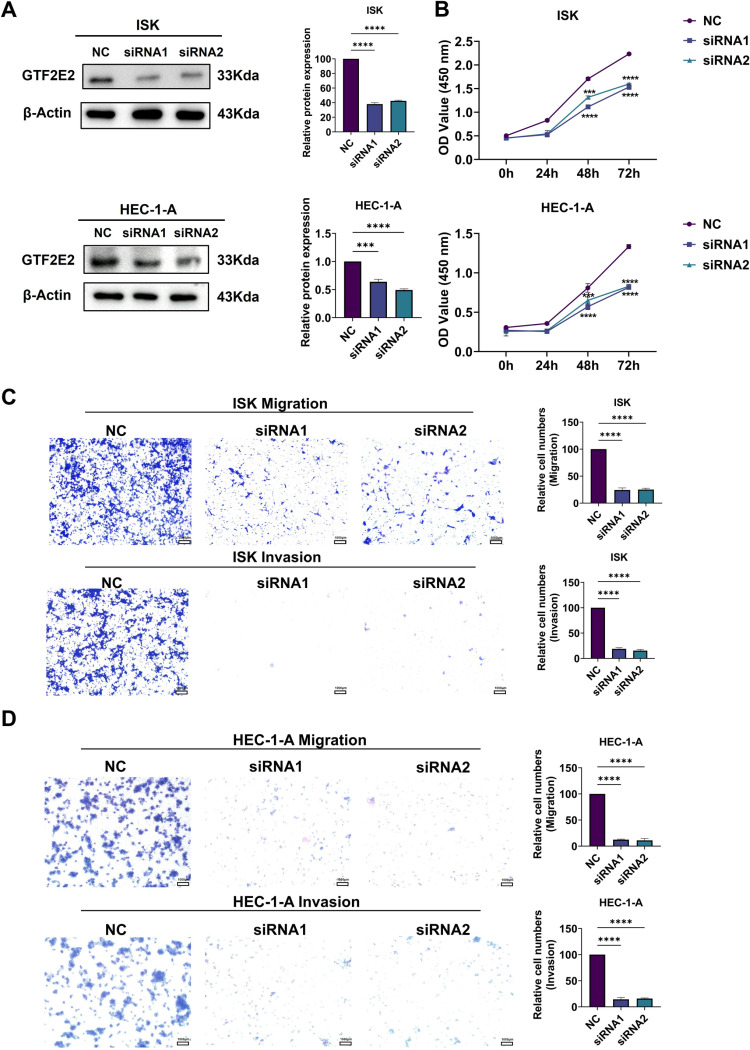 PMC12017540 – pone.0321983.g016