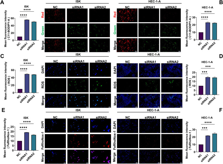 PMC12017540 – pone.0321983.g017