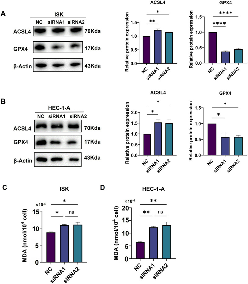 PMC12017540 – pone.0321983.g018