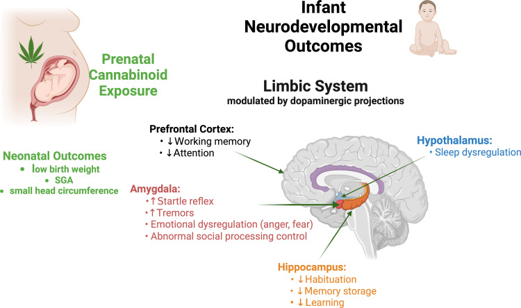 PMC12068654 – pone.0322035.g002