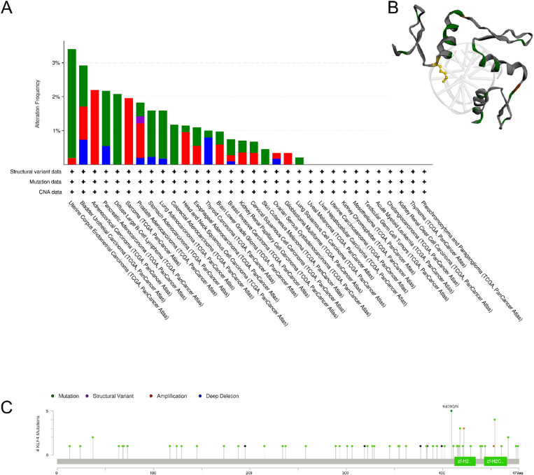 PMC12040095 – pone.0322523.g003