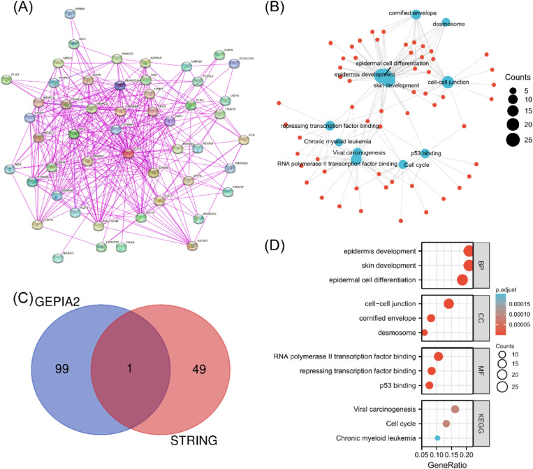 PMC12040095 – pone.0322523.g005