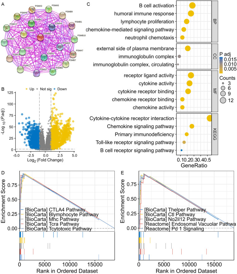 PMC12058196 – pone.0323013.g005