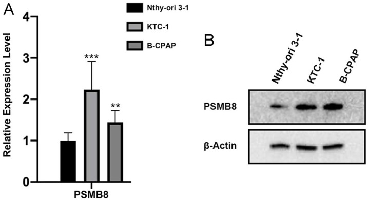 PMC12058196 – pone.0323013.g009