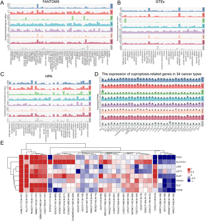 PMC12220987 – pone.0324389.g001