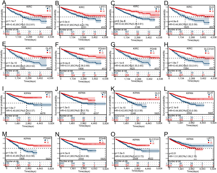 PMC12220987 – pone.0324389.g002