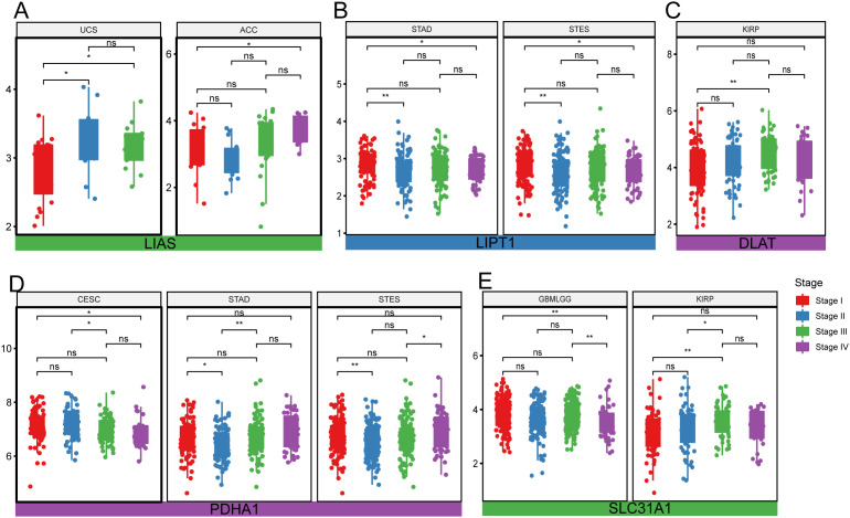 PMC12220987 – pone.0324389.g003