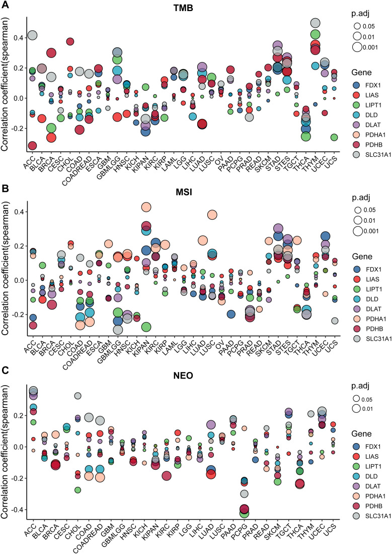 PMC12220987 – pone.0324389.g005