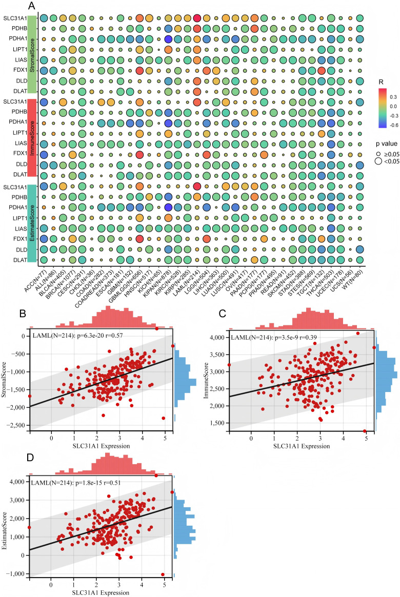 PMC12220987 – pone.0324389.g006