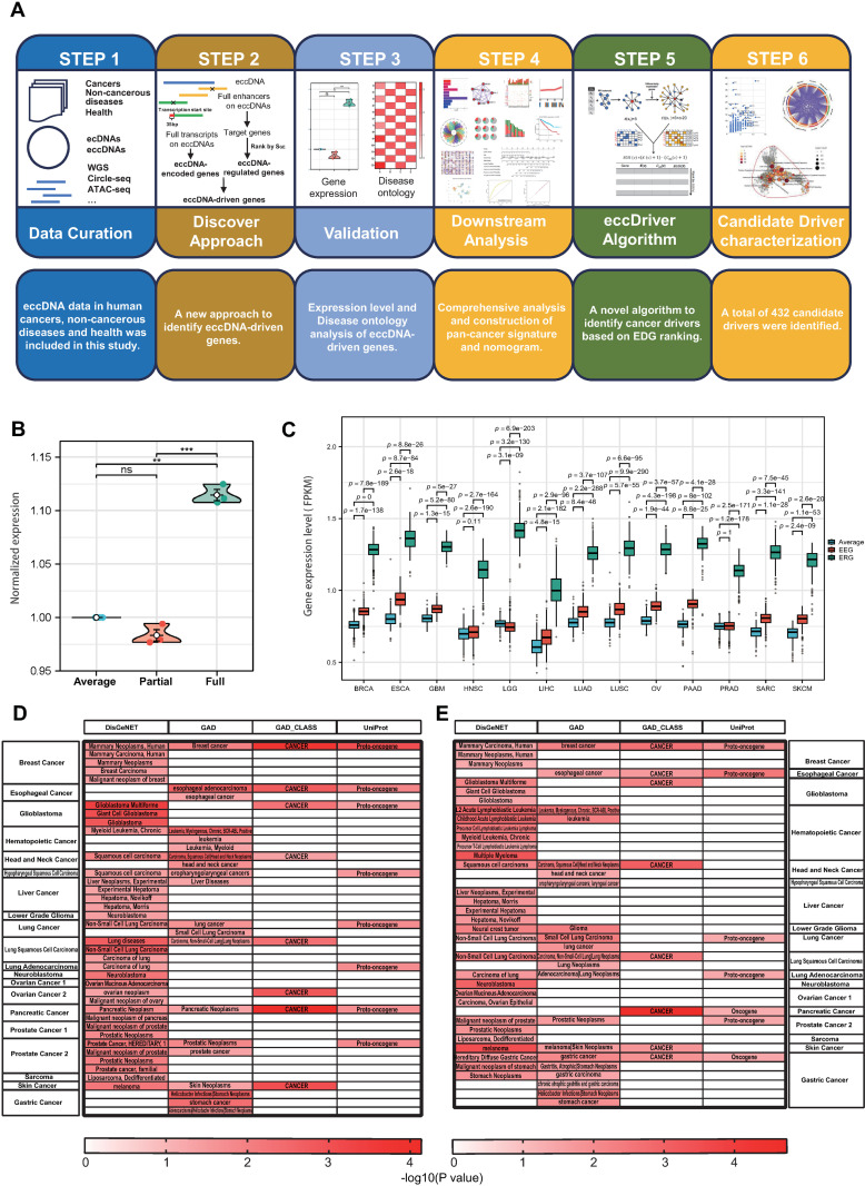 PMC12143510 – pone.0324438.g001