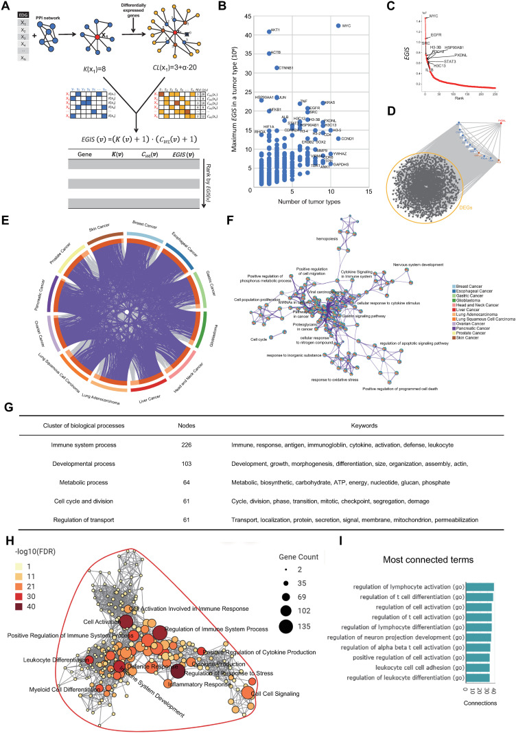 PMC12143510 – pone.0324438.g005