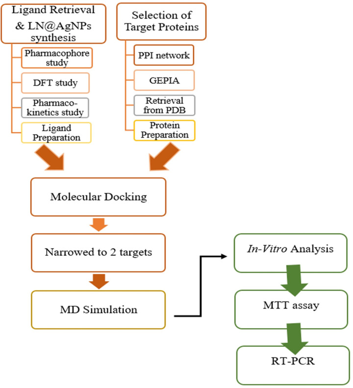 PMC12161535 – pone.0325281.g001