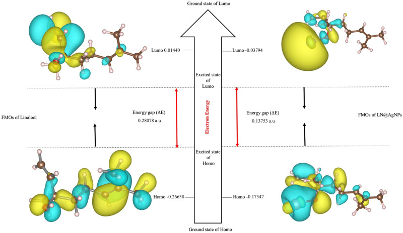PMC12161535 – pone.0325281.g003