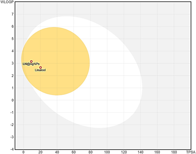 PMC12161535 – pone.0325281.g005