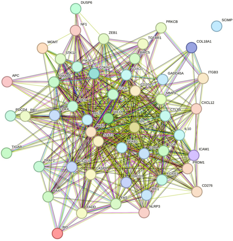 PMC12161535 – pone.0325281.g008