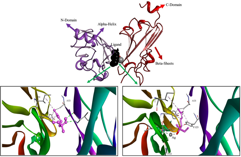 PMC12161535 – pone.0325281.g010