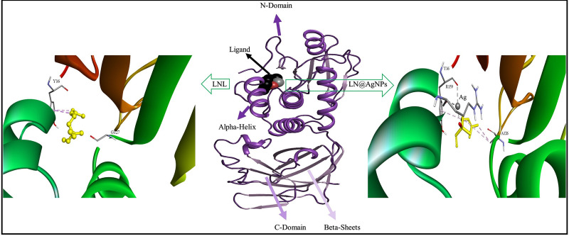 PMC12161535 – pone.0325281.g011