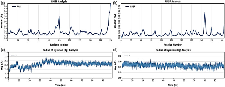 PMC12161535 – pone.0325281.g013