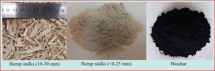 PMC12220996 – pone.0325943.g003