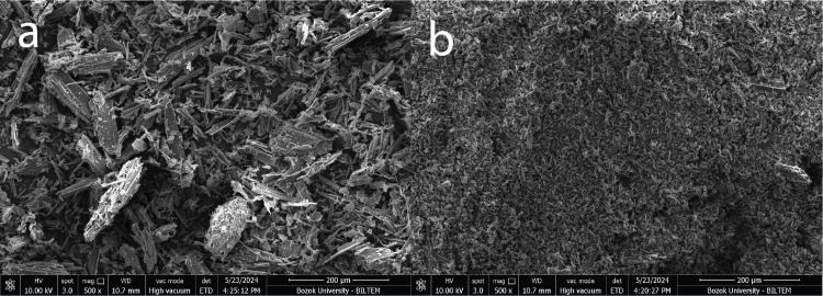 PMC12220996 – pone.0325943.g004