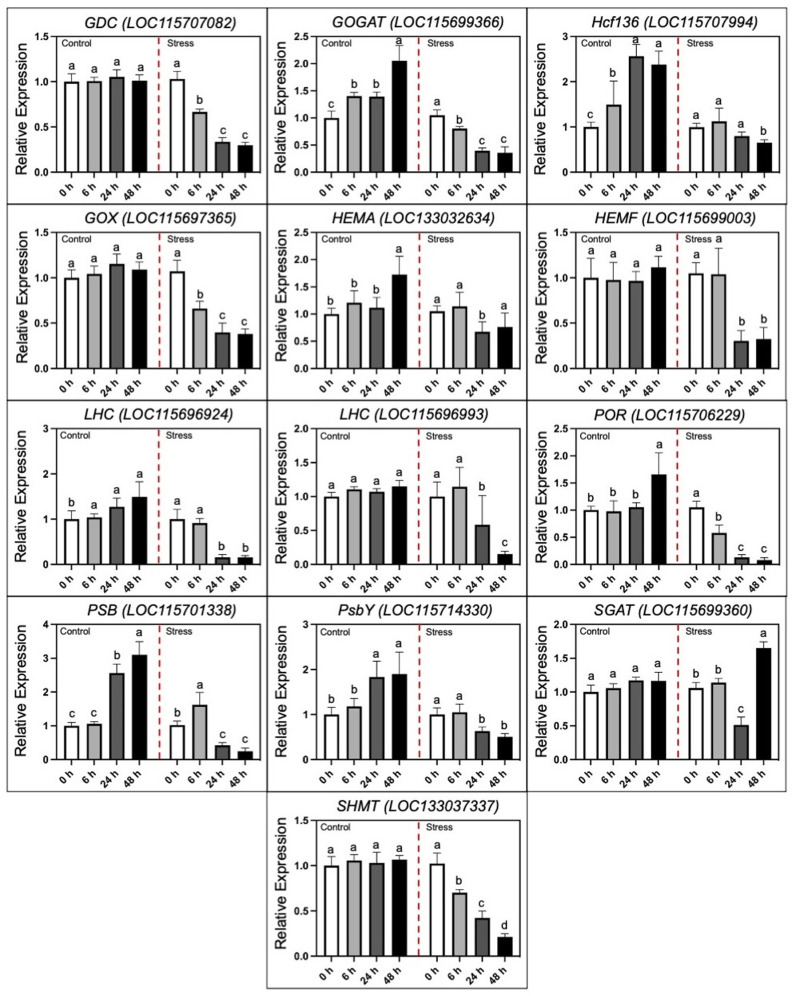 PMC12194151 – pone.0326434.g008