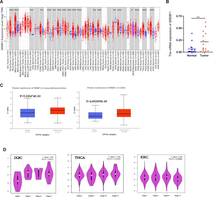 PMC12266389 – pone.0327503.g001