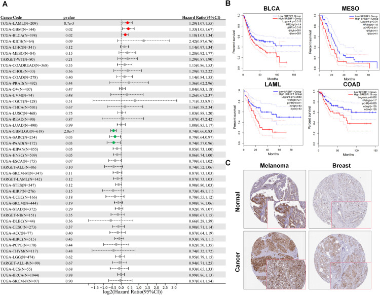 PMC12266389 – pone.0327503.g002