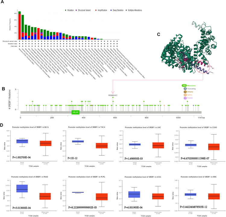 PMC12266389 – pone.0327503.g003