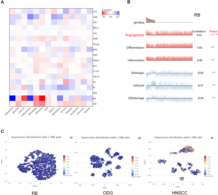PMC12266389 – pone.0327503.g005