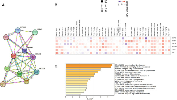 PMC12266389 – pone.0327503.g006