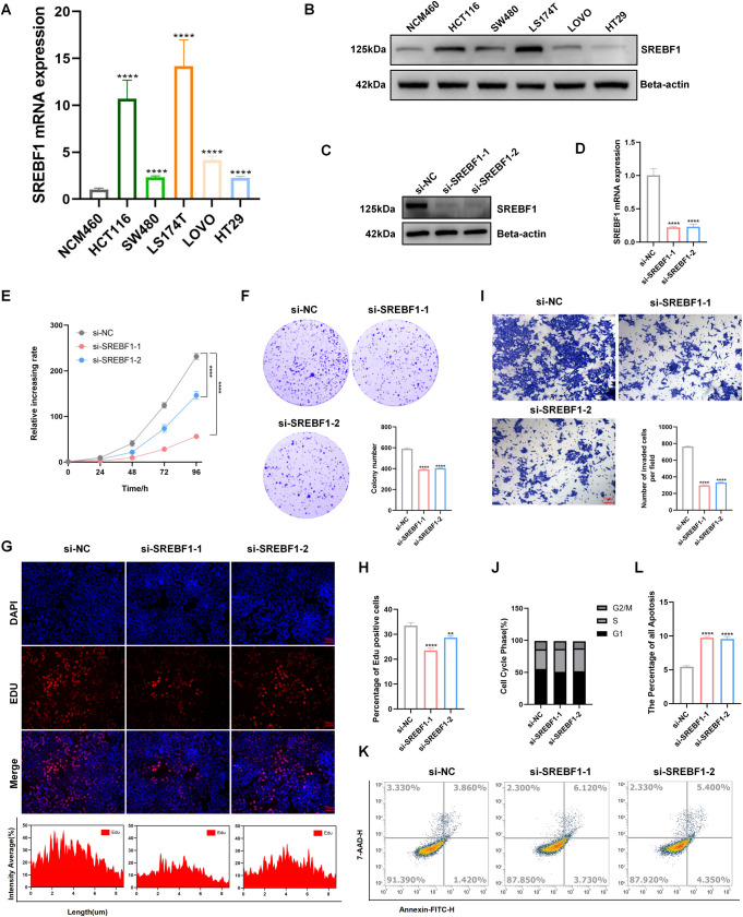 PMC12266389 – pone.0327503.g007