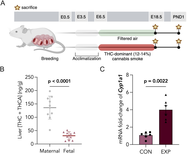 PMC12991273 – pone.0328123.g001