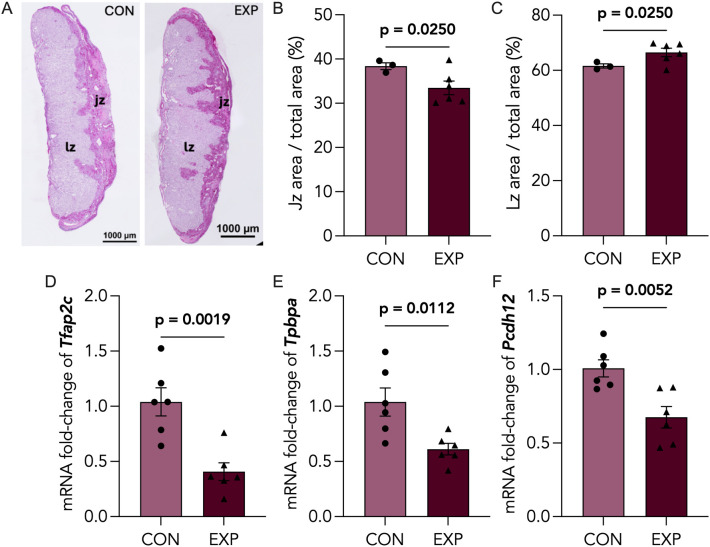 PMC12991273 – pone.0328123.g003