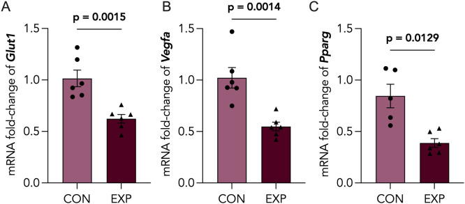 PMC12991273 – pone.0328123.g005