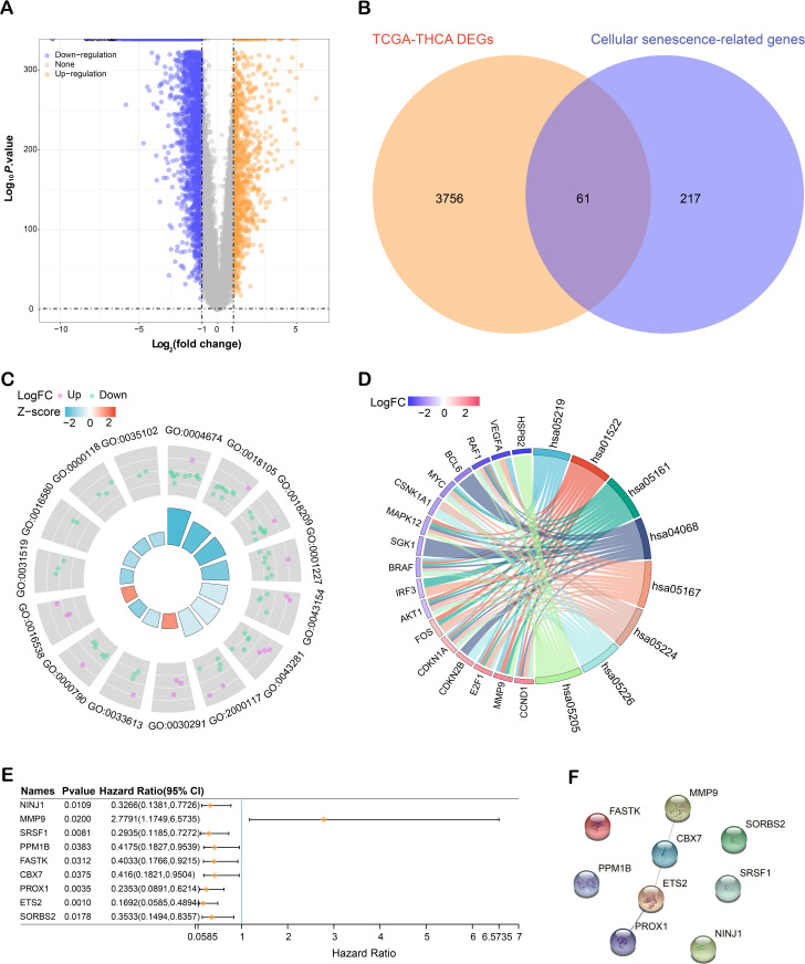 PMC12431355 – pone.0328881.g001