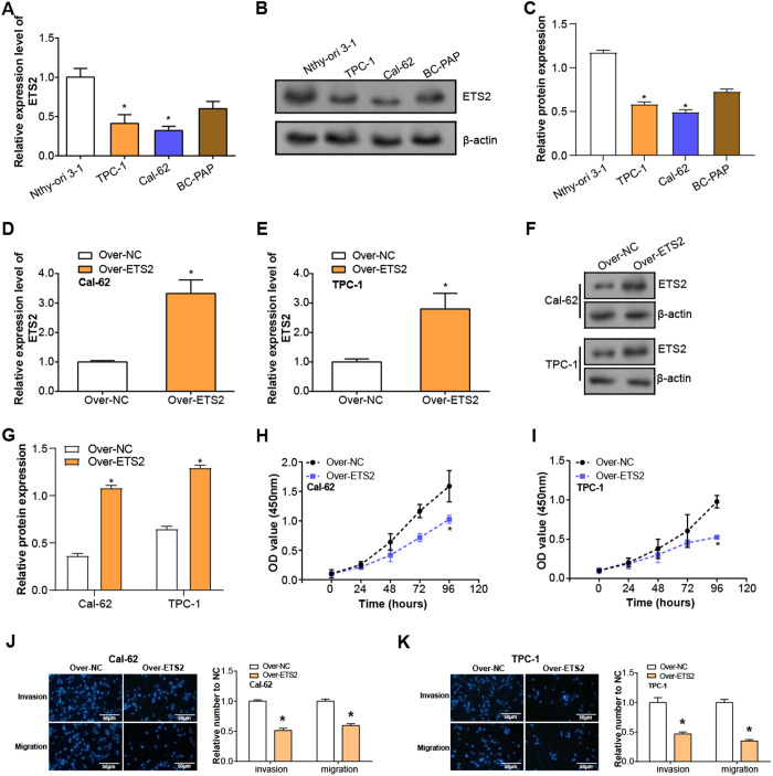 PMC12431355 – pone.0328881.g005