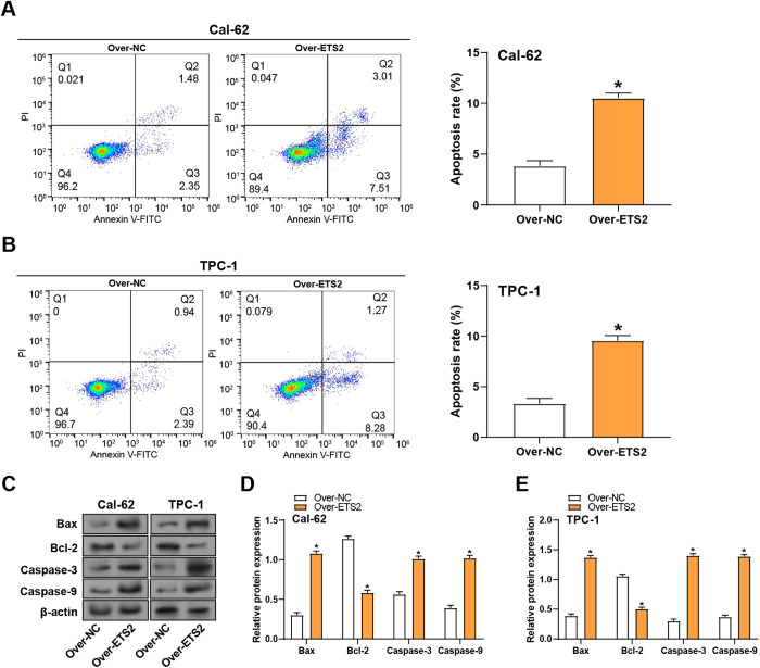 PMC12431355 – pone.0328881.g006