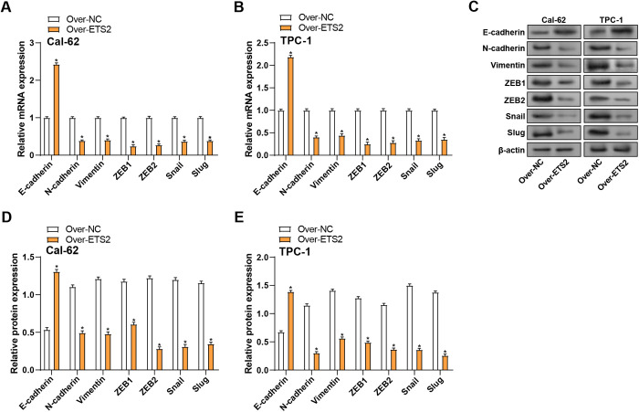 PMC12431355 – pone.0328881.g007