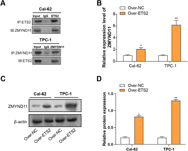 PMC12431355 – pone.0328881.g008