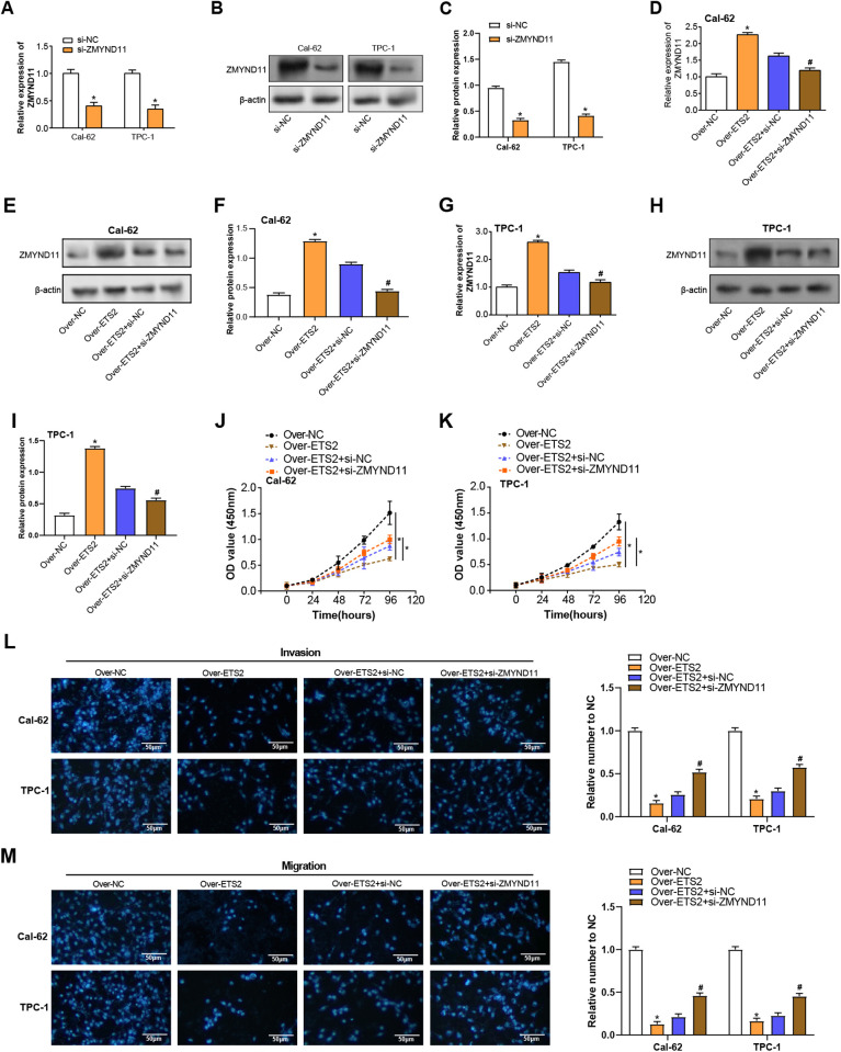 PMC12431355 – pone.0328881.g009