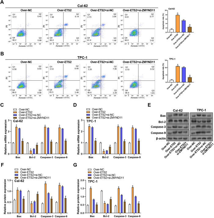 PMC12431355 – pone.0328881.g010