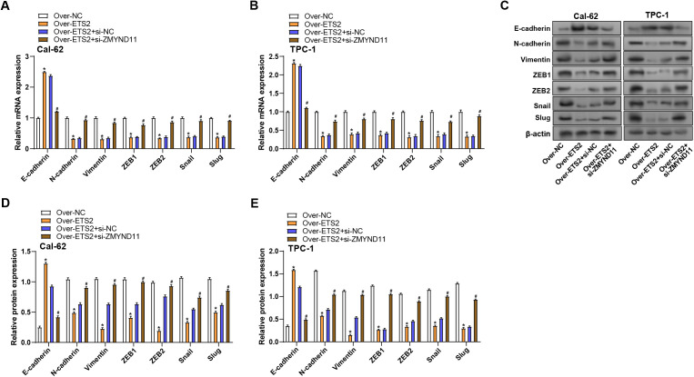 PMC12431355 – pone.0328881.g011