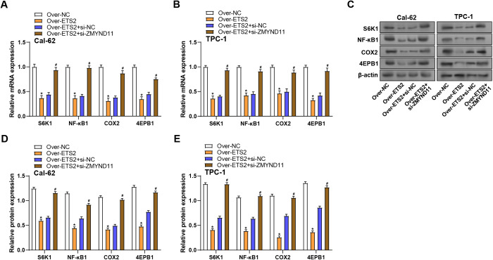 PMC12431355 – pone.0328881.g012