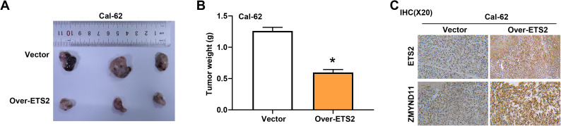 PMC12431355 – pone.0328881.g013