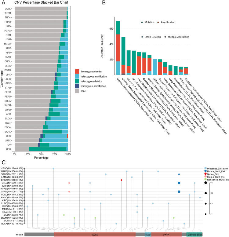 PMC12468984 – pone.0330653.g004
