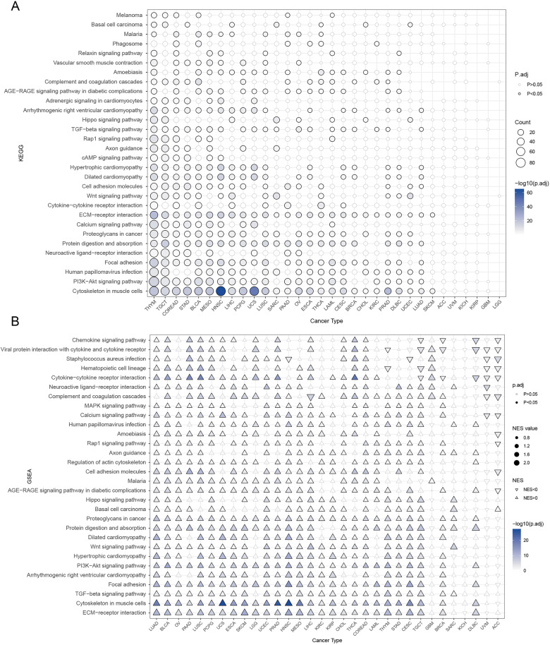 PMC12468984 – pone.0330653.g007